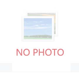 桥梁钢模支撑体系缺陷